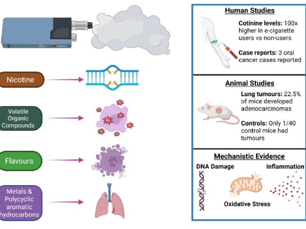 Broad evidence implicates e-cigarettes as a cause of&nbsp;cancer